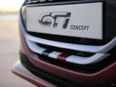 Calandre Peugeot 208 GTi Concept 008