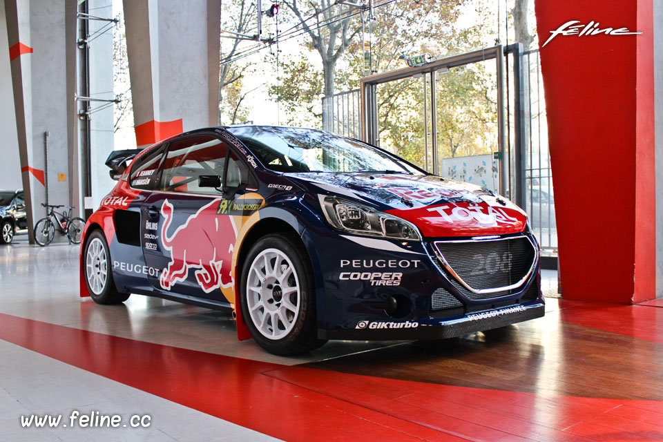 Peugeot 208 WRX 2015 - World RallyCross