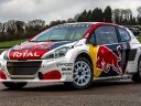 Rallycross : présentation de la Peugeot 208 WRX édition 2017 !