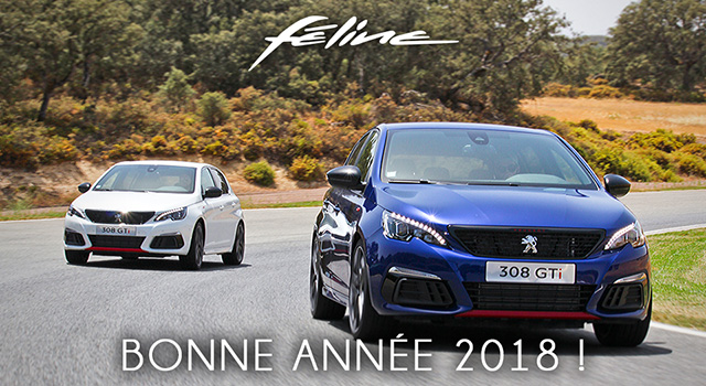 Une heureuse et féline année 2018 !