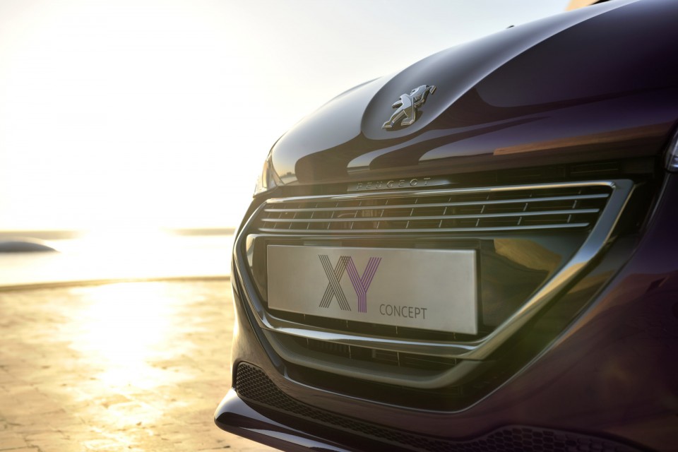 Calandre Peugeot 208 XY Concept 1 007