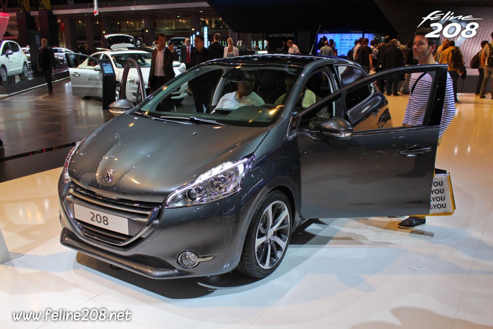 Peugeot 208 Féline Gris Shark 1.6 e-HDi 115 - Mondial de Paris 2012 - 3-007