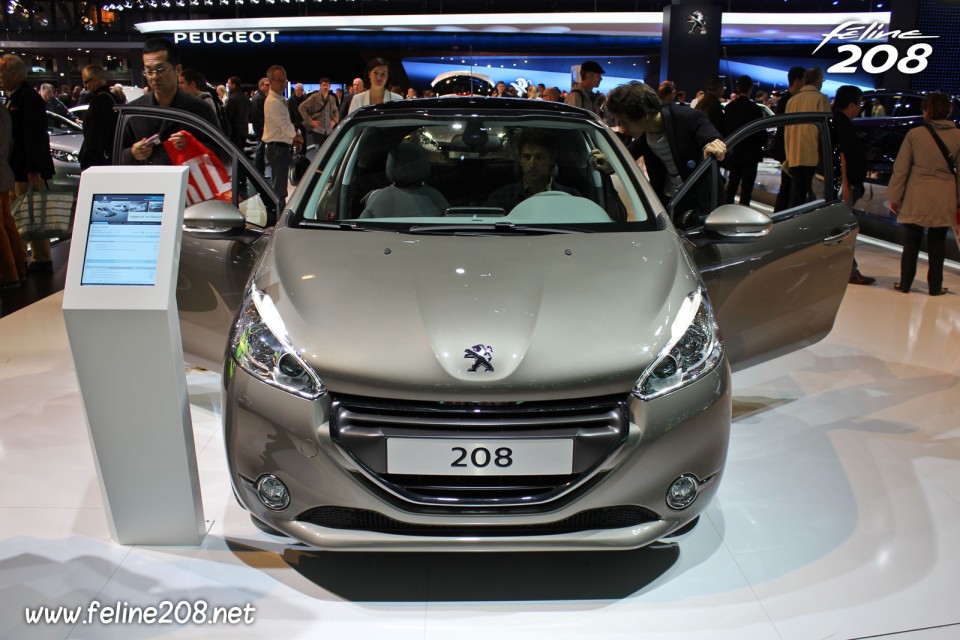 Peugeot 208 Féline Spirit Grey 1.6 THP 155 - Mondial de Paris 2012 - 7-001