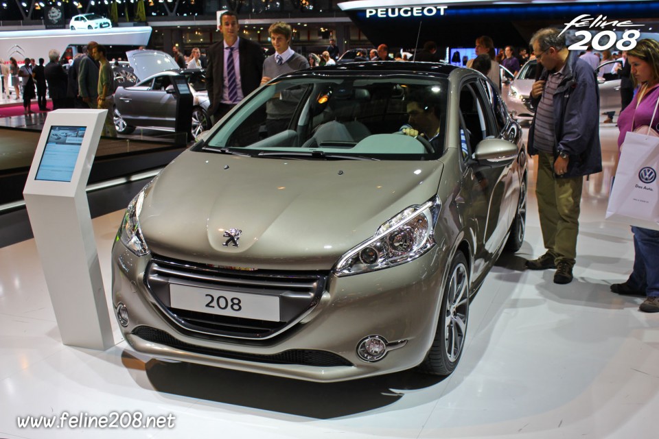 Peugeot 208 Féline Spirit Grey 1.6 THP 155 - Mondial de Paris 2012 - 7-002