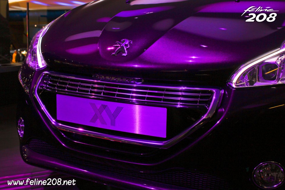 Calandre Peugeot 208 XY 1.6 THP 155 Purple Night - Mondial de Paris 2012 - 8-005