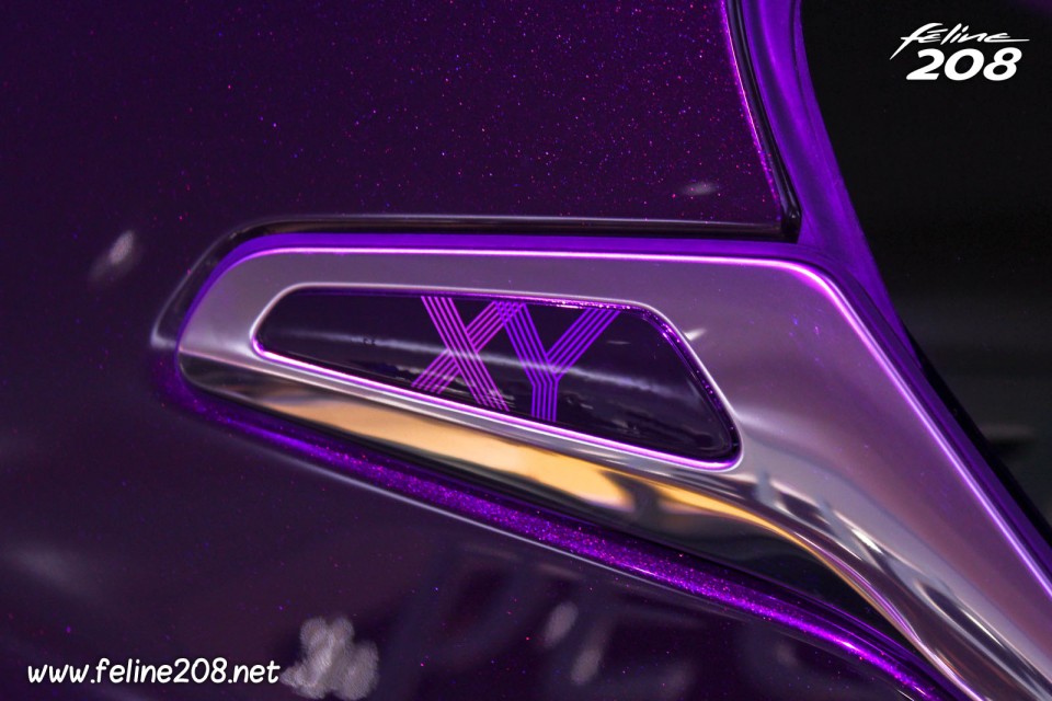 Sigle XY custode Peugeot 208 XY 1.6 THP 155 Purple Night - Mondial de Paris 2012 - 8-009