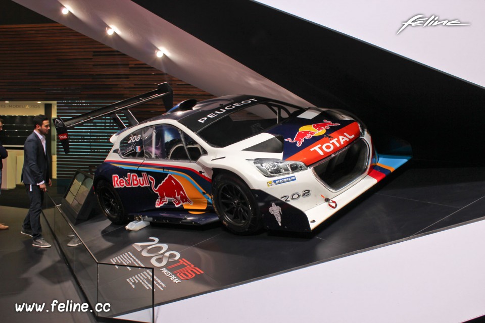 Photo Peugeot 208 T16 Pikes Peak - Salon de Genève 2014