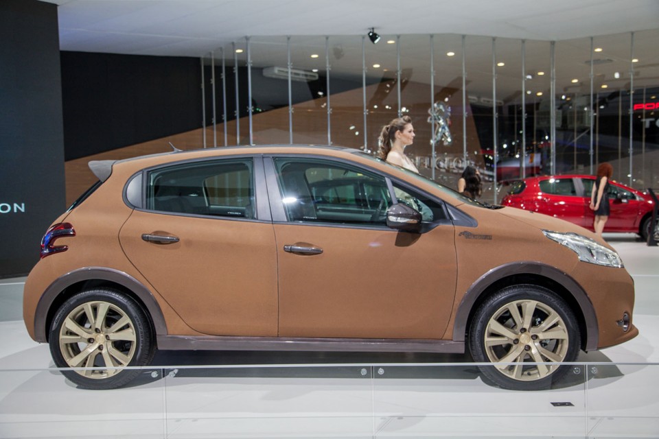 Photo Peugeot 208 Natural Concept - Salon de São Paulo 2014