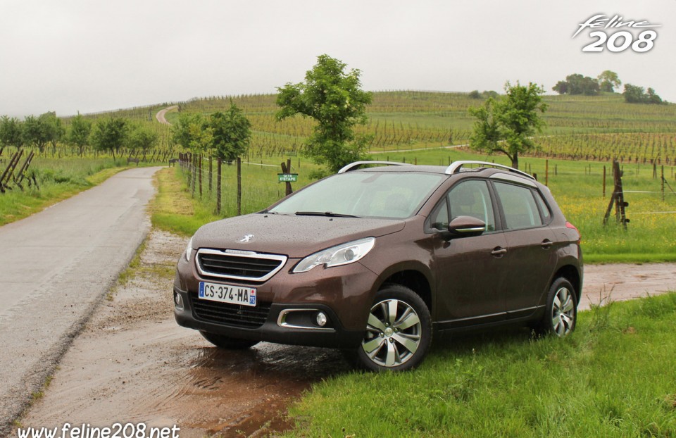 Peugeot 2008 Active Brun Makaha - Essais Peugeot 2008 - Mai 2013 - 1-018