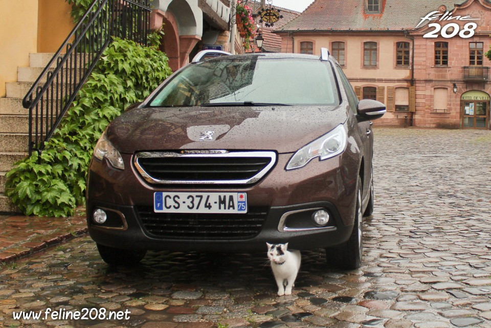Peugeot 2008 Active Brun Makaha - Essais Peugeot 2008 - Mai 2013 - 1-023