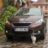 Peugeot 2008 Active Brun Makaha - Essais Peugeot 2008 - Mai 2013 - 1-023