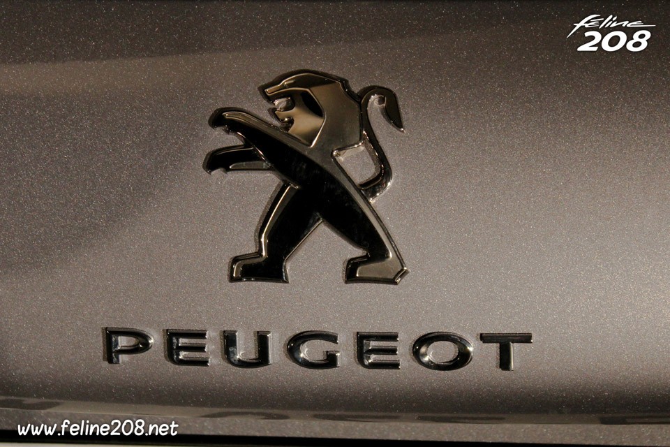 Sigle Peugeot 2008 - 015