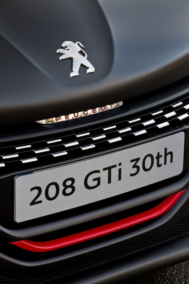 Photo détail calandre avant Peugeot 208 GTi 30th