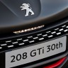 Photo détail calandre avant Peugeot 208 GTi 30th