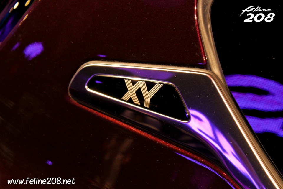 Sigle XY custode - Essais Peugeot 208 XY - Mars 2013 - 1-005