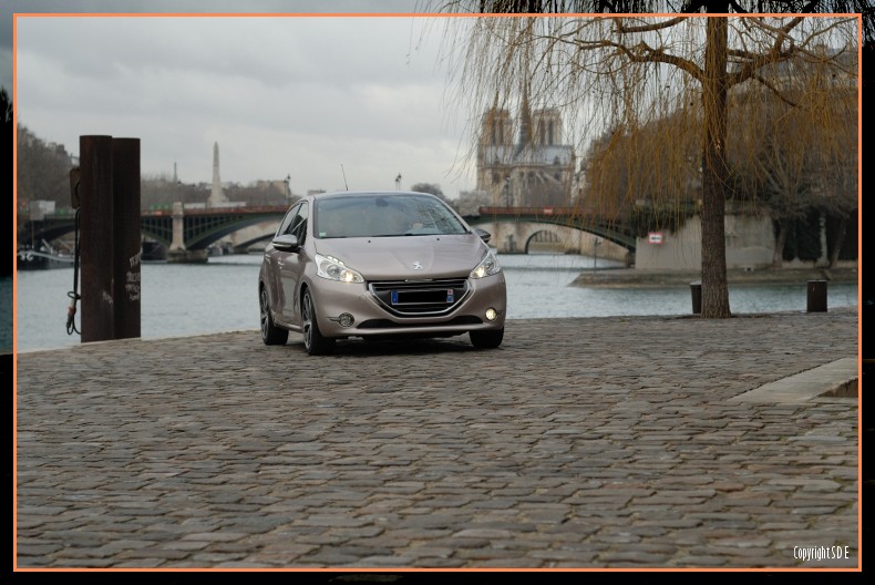 Peugeot 208 Féline Blossom Grey 021