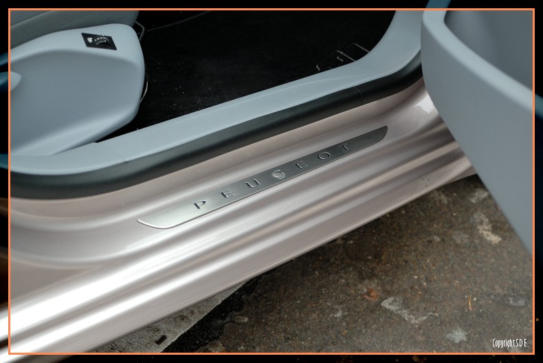 Seuil de porte inox Peugeot 208 Féline Blossom Grey 026