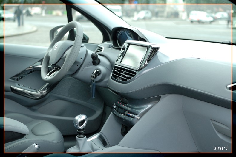Habitacle Peugeot 208 Féline Blossom Grey 027
