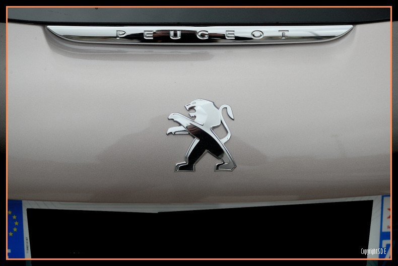 Sigle lion Peugeot 208 Féline Blossom Grey 030