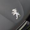 Photo sigle Peugeot Lime Yellow Peugeot 208 Allure Ice Silver re