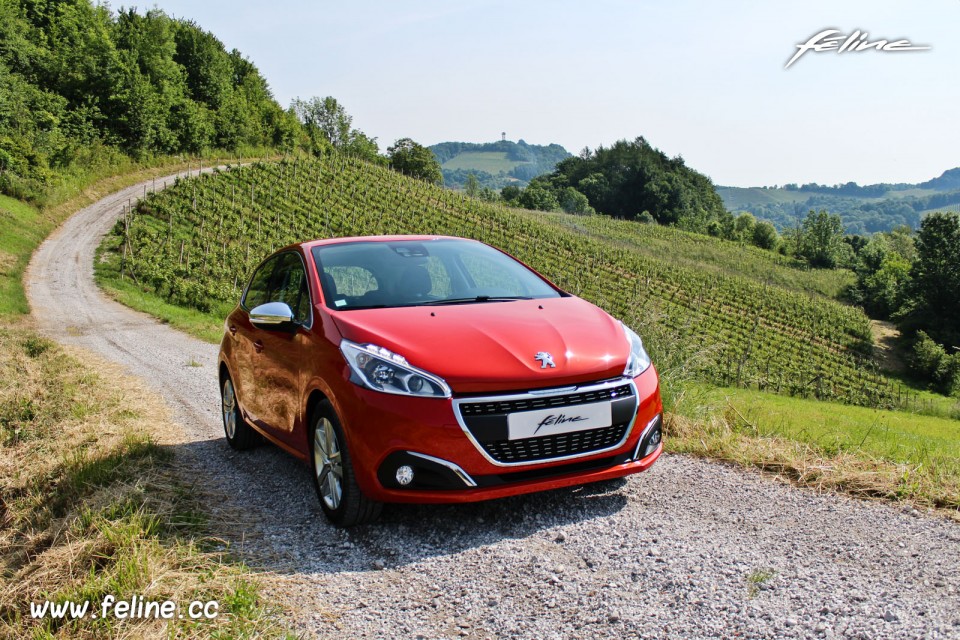 Photo essai Peugeot 208 Business Pack Orange Power restylée (Ma