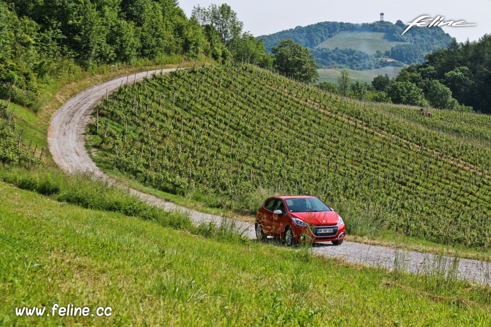 Photo essai Peugeot 208 Business Pack Orange Power restylée (Ma