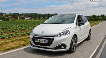 Féline 208