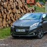 Photo essai Peugeot 208 Allure Ice Silver restylée (Mai 2015)