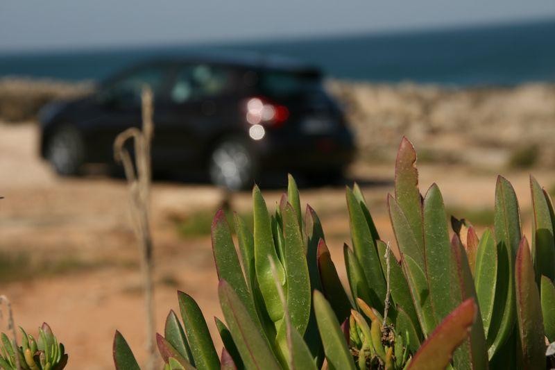 Essai Peugeot 208 Active Blue Lion - Rouge Noir 048