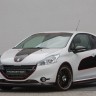 Photo Tuning Peugeot 208 En Garde Musketier - 1-010