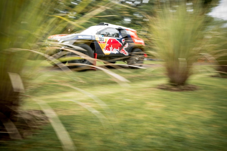 Cyril Despres - Action