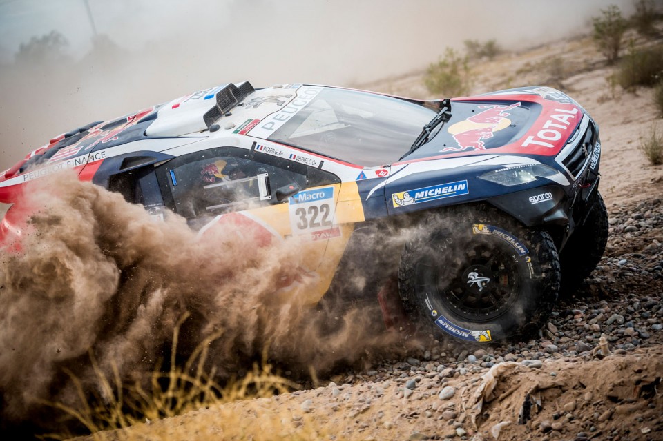 Cyril Despres - Action