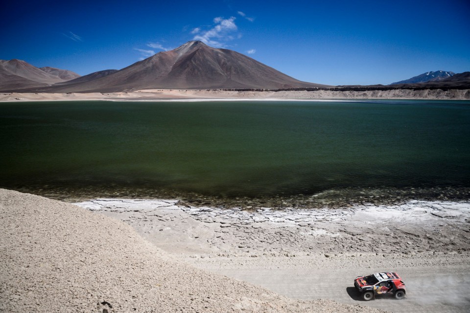 Carlos Sainz - Action