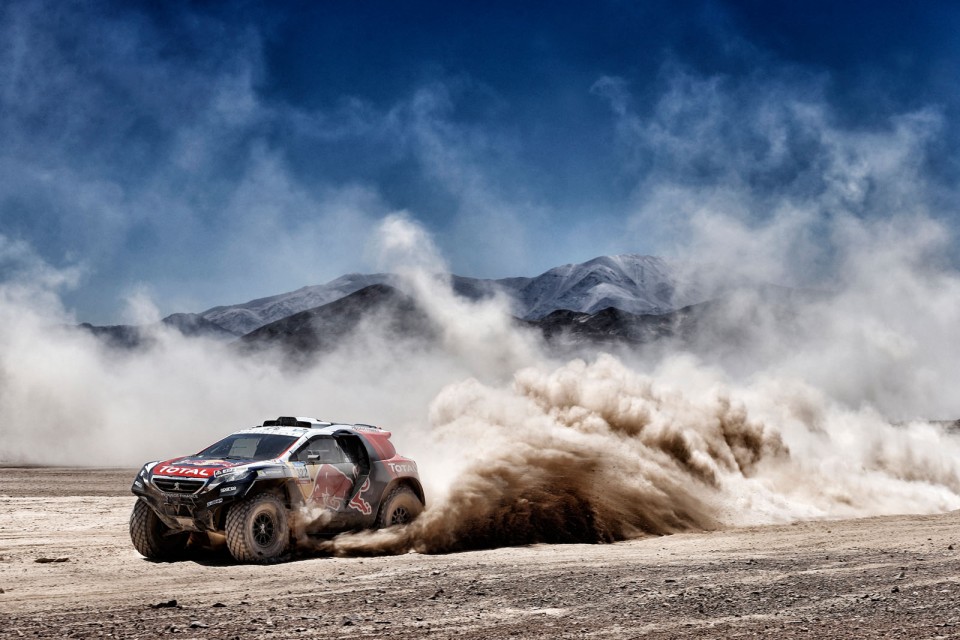 Cyril Despres - Action