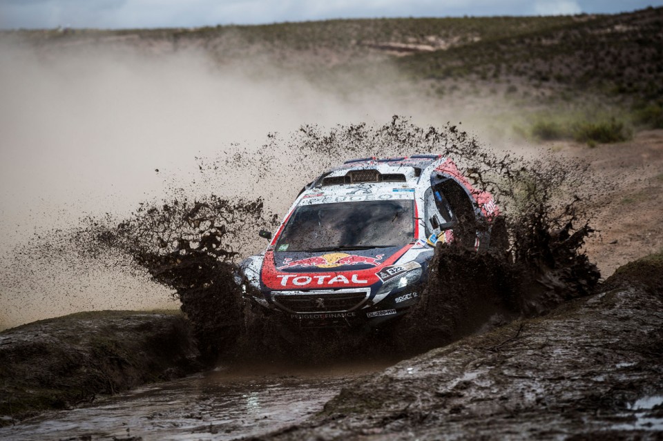 Cyril Despres - Action
