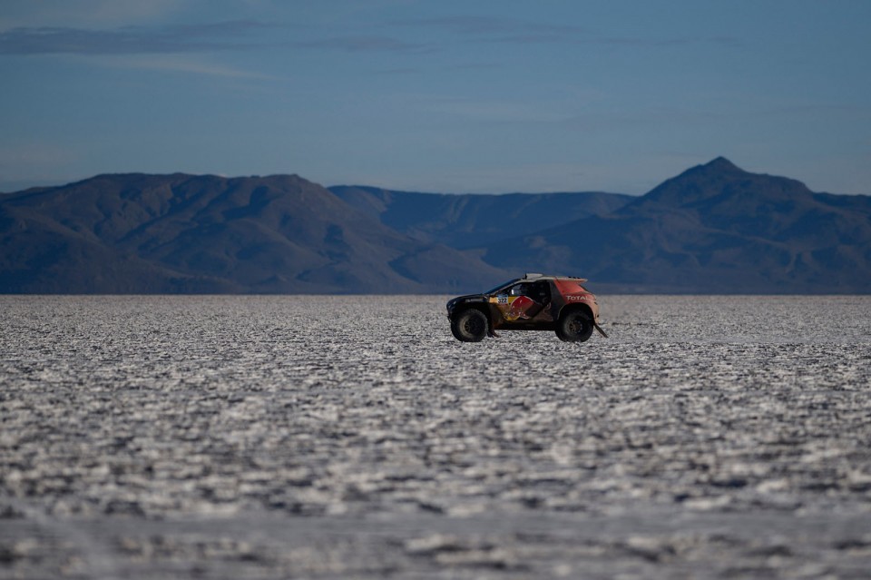 Cyril Despres - Action