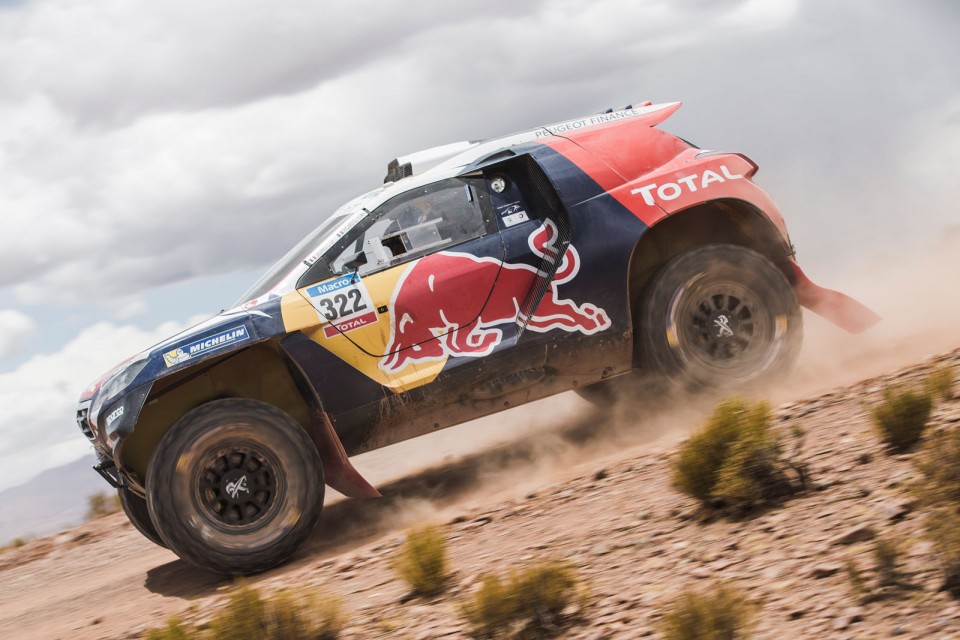 Cyril Despres - Action