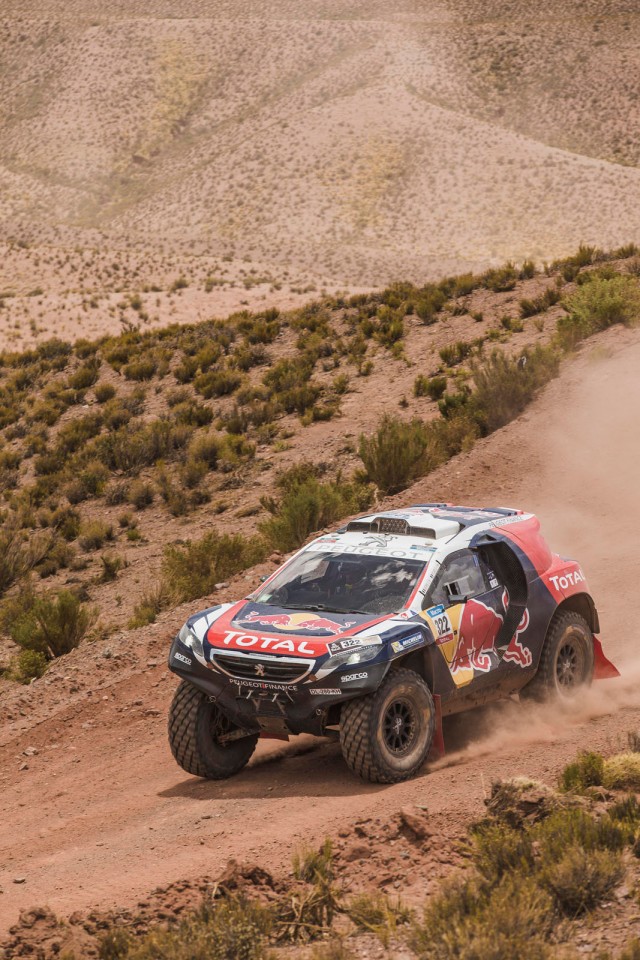 Cyril Despres - Action