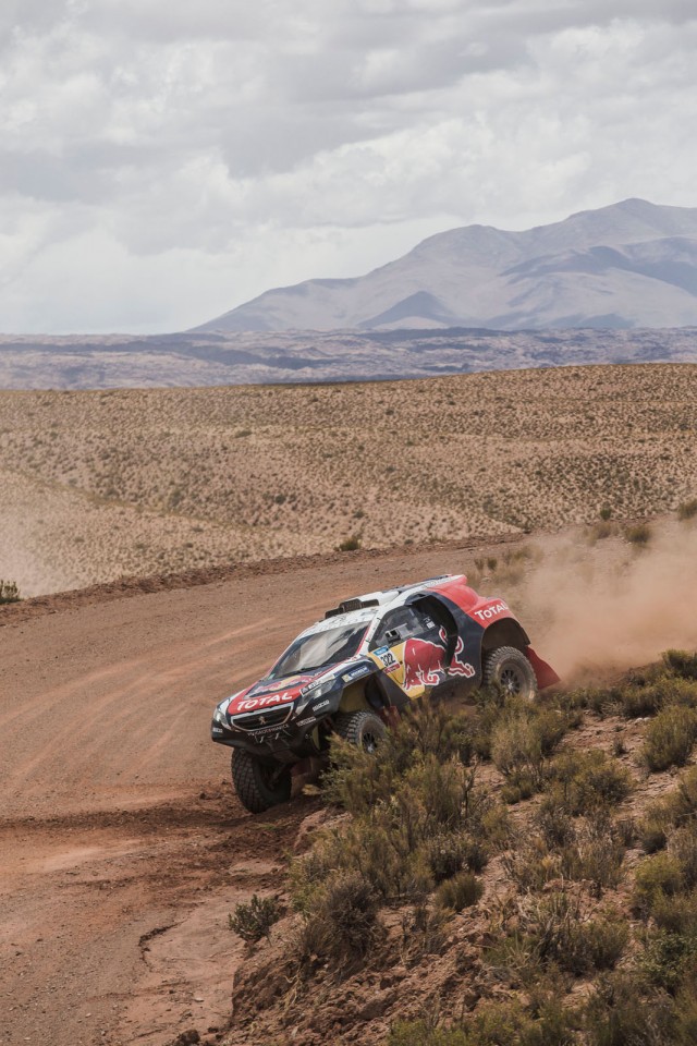 Cyril Despres - Action