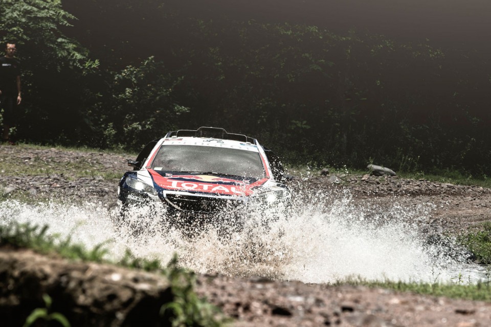 Cyril Despres - Action