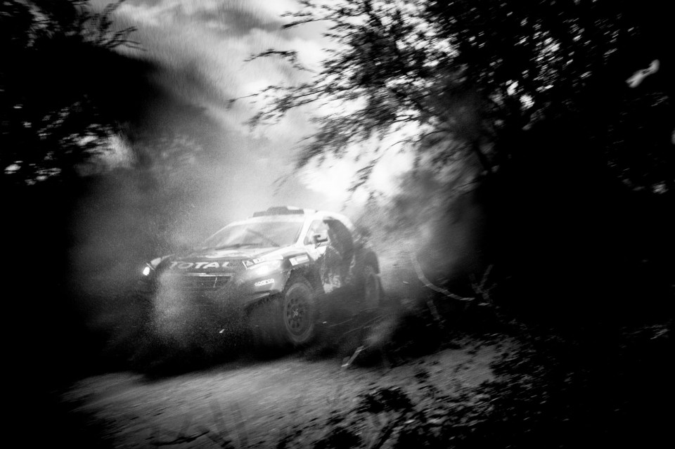 Cyril Despres - Action