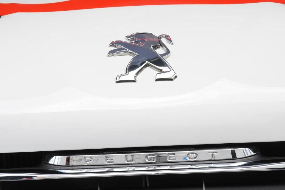 Lion Peugeot 208 R2 - Rallye de San Remo 2012 - 016