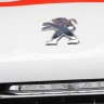 Lion Peugeot 208 R2 - Rallye de San Remo 2012 - 016