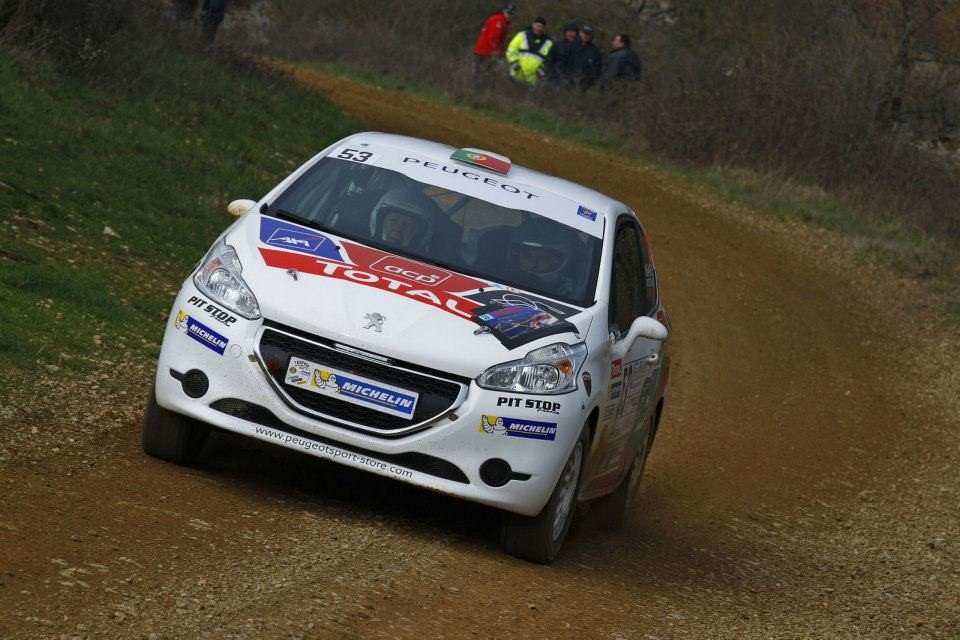 Peugeot 208 R2 n°53 - Terre des Causses - 208 Rally Cup France 2013 - 003