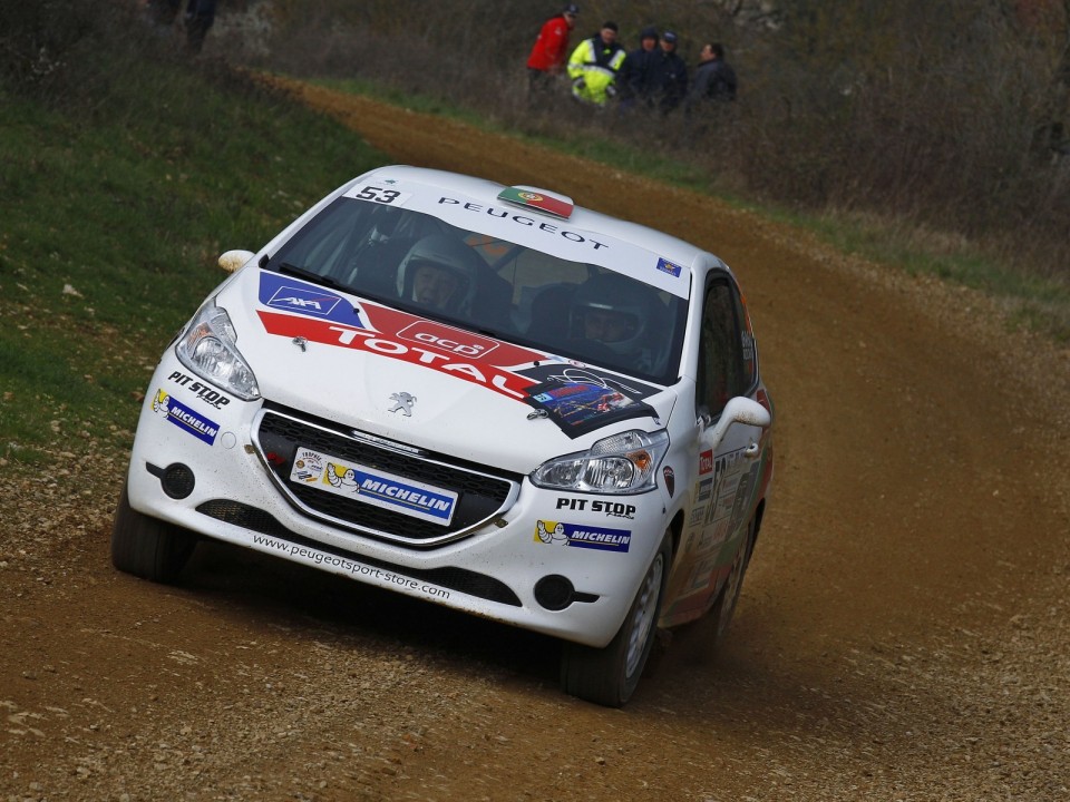 Peugeot 208 R2 n°53 - Terre des Causses - 208 Rally Cup France 2013 - 013