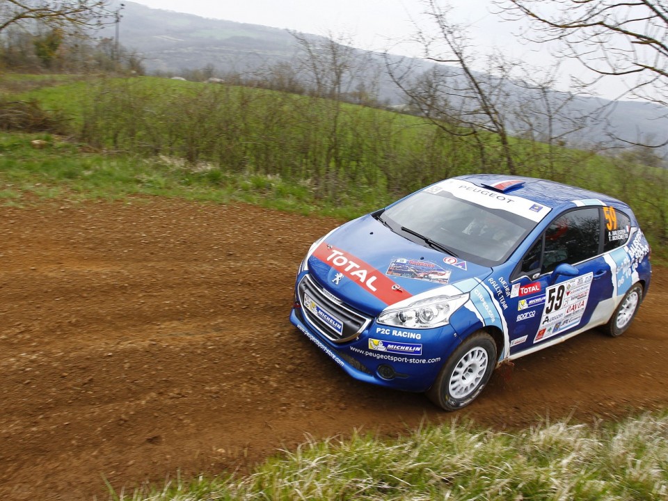 Peugeot 208 R2 n°59 - Terre des Causses - 208 Rally Cup France 2013 - 032