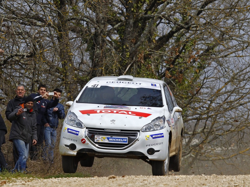 Peugeot 208 R2 n°41 - Terre des Causses - 208 Rally Cup France 2013 - 035