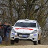Peugeot 208 R2 n°41 - Terre des Causses - 208 Rally Cup France 2013 - 035