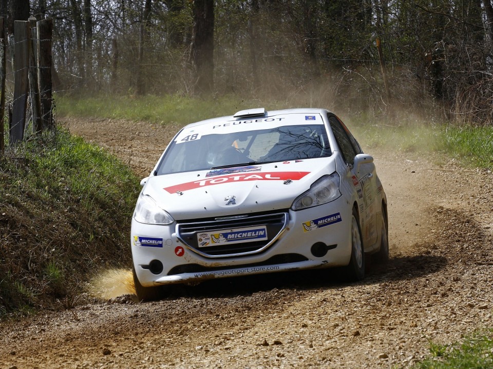 Peugeot 208 R2 n°48 - Terre des Causses - 208 Rally Cup France 2013 - 043