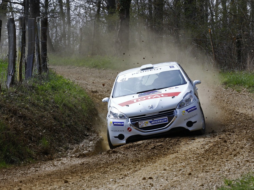 Peugeot 208 R2 n°41 - Terre des Causses - 208 Rally Cup France 2013 - 044